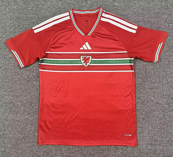 2026 wales home
