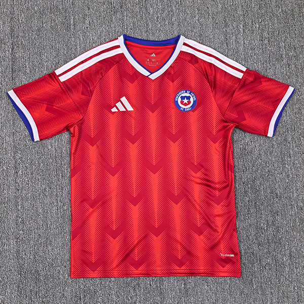 2026 Chile home