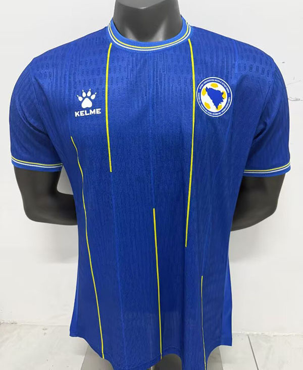 2026 Bosnia and Herzegovina home player version