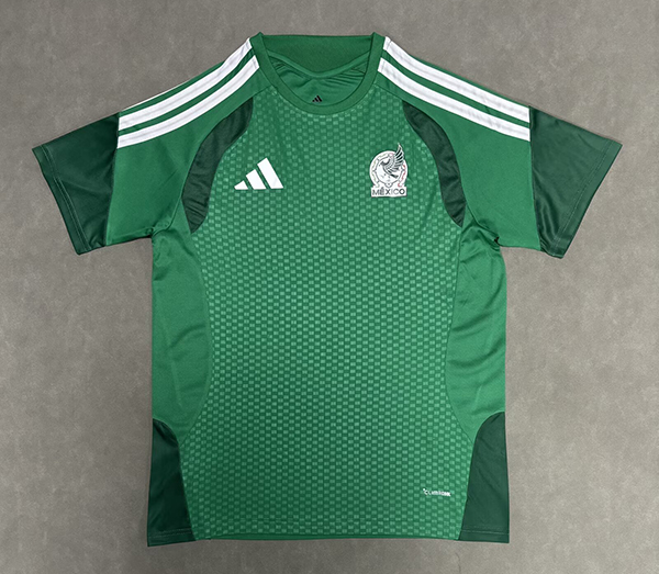 2026 Mexico Training