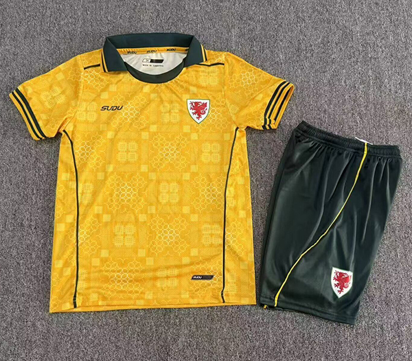2027-28 wales away kids