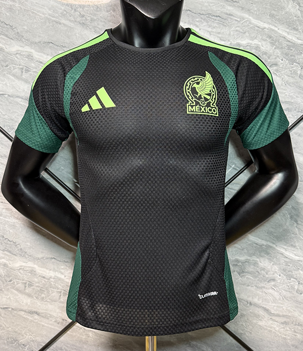 2026 Mexico player version training