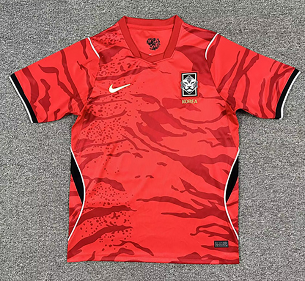 2026 Korea home