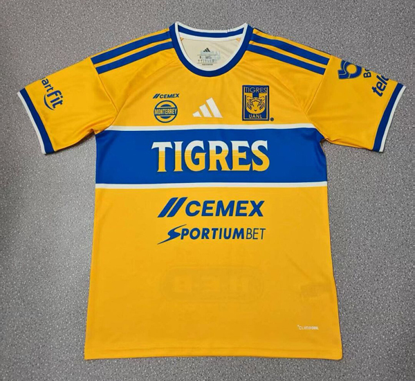 2026-27 Tigres home