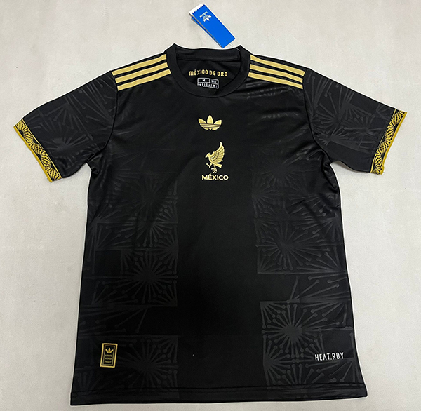 2025-26 Mexico Souvenir version