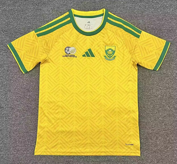 2026 South Africa home