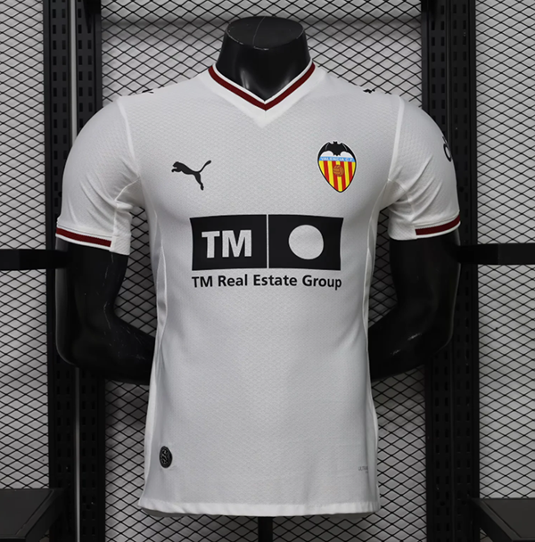 2026-27 VLC home player version