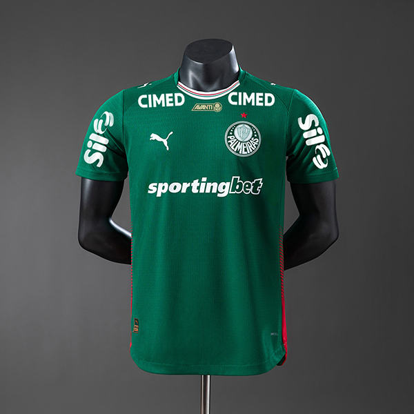 2026-27 Palmeiras home Player Version &advertisements
