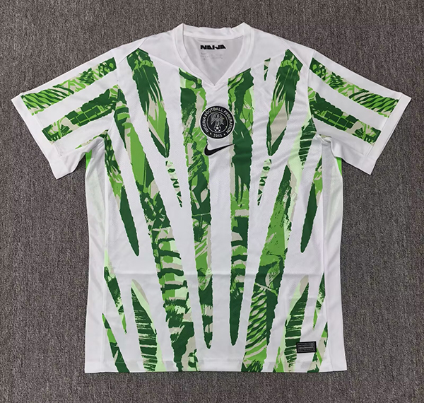 2025-26 Nigeria home