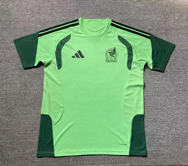 2026 Mexico player version training