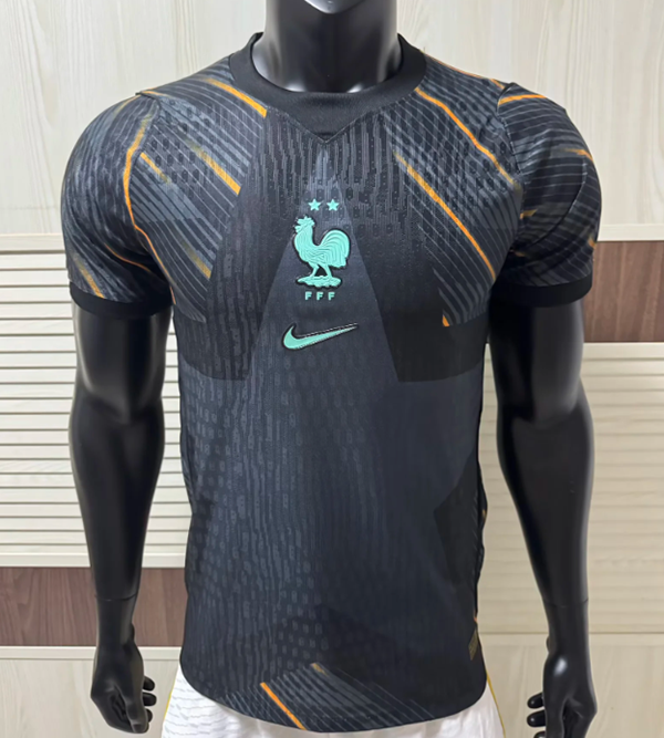 2026 France GK player version