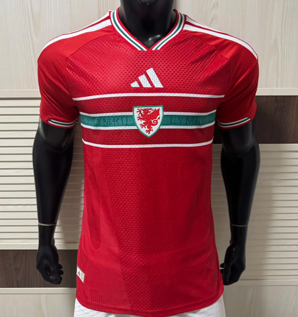 2026 wales home player version